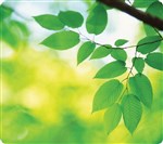 Fellowes Mouse Pad 5903801 Recycled Green Leaves