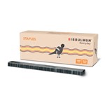 Bibbulmun Staples 266 Silver Box 5000