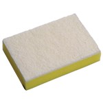 Sabco Pro Scourer Scrub Soft Grade 15 X 10cm 10
