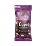 Dipped Espresso  Snack Pack 10 X 40G Harvest Box